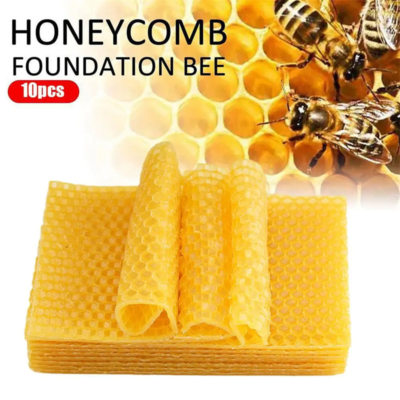 10/20 قطعة صفائح شمع العسل الط - مراجعة Candle Supplies Beeswax وسعره